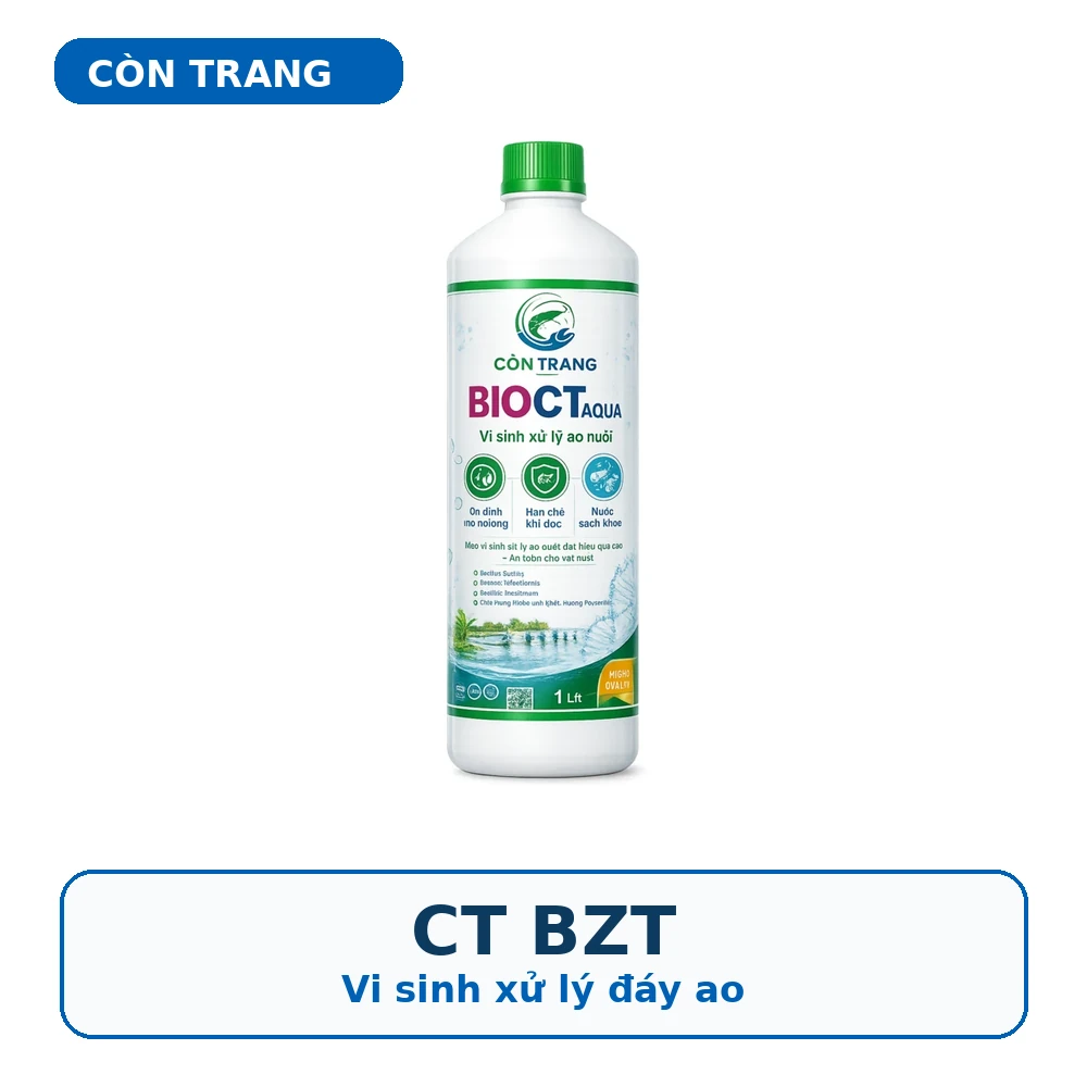 CT BZT – Vi sinh xử lý đáy ao