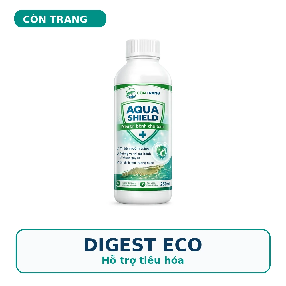 DIGEST ECO – Hỗ trợ tiêu hóa