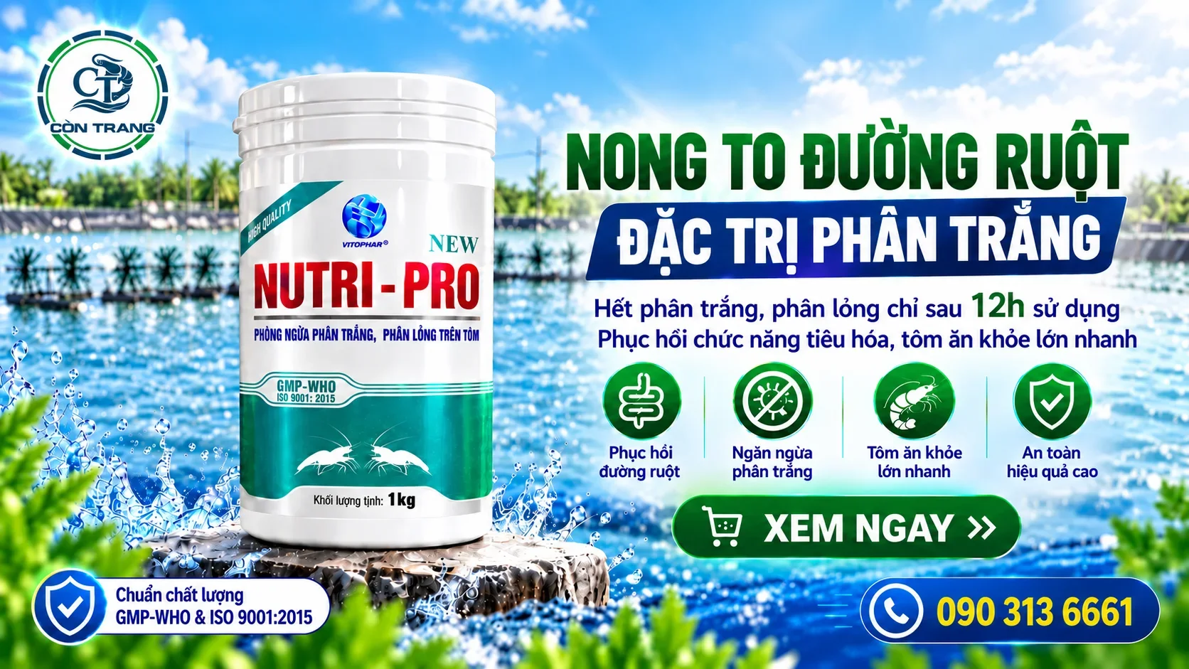 Banner CÒN TRANG