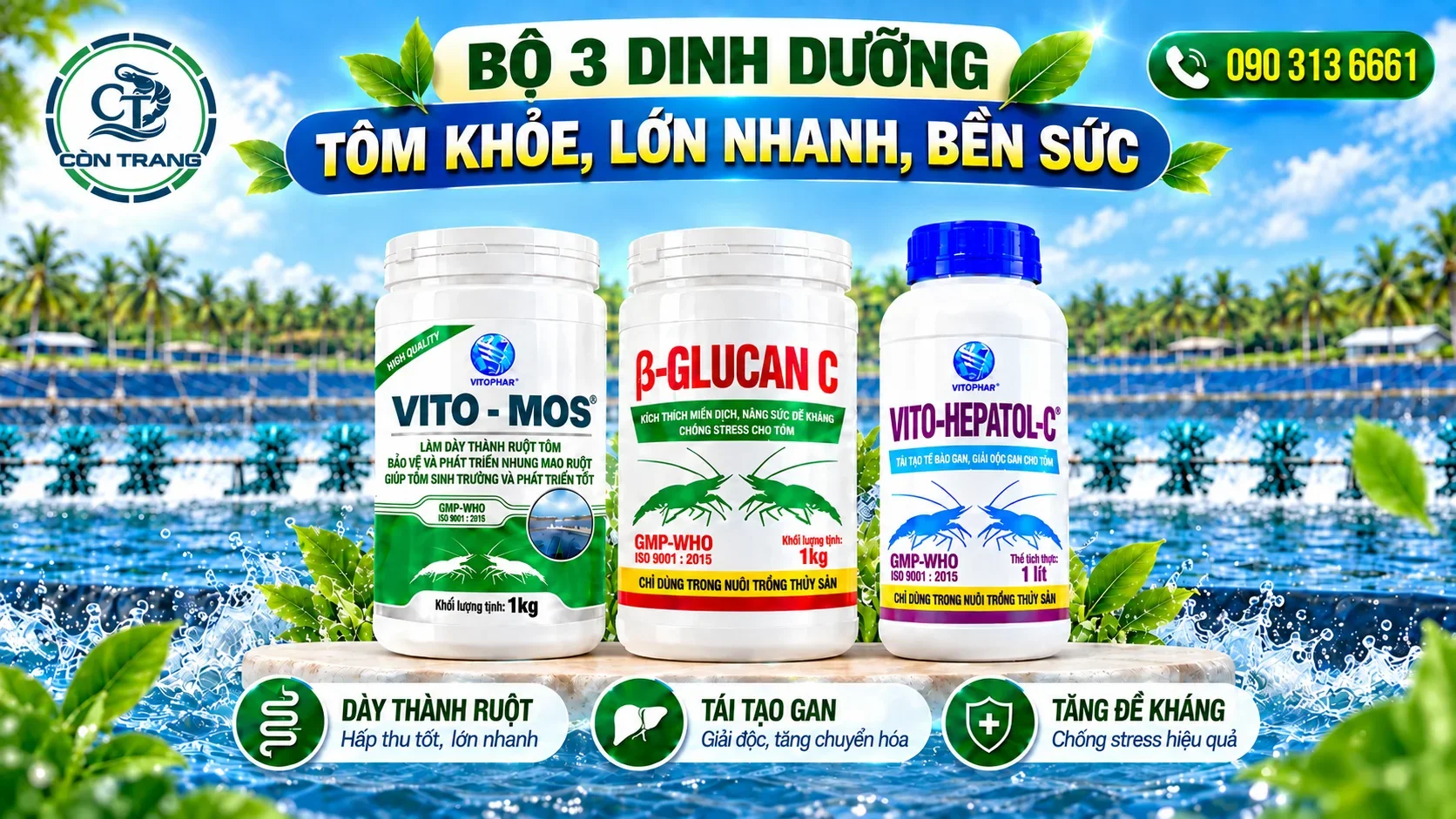 Banner CÒN TRANG