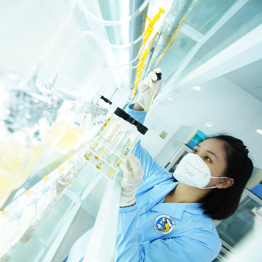 VUS Leader 21 - ảnh 3