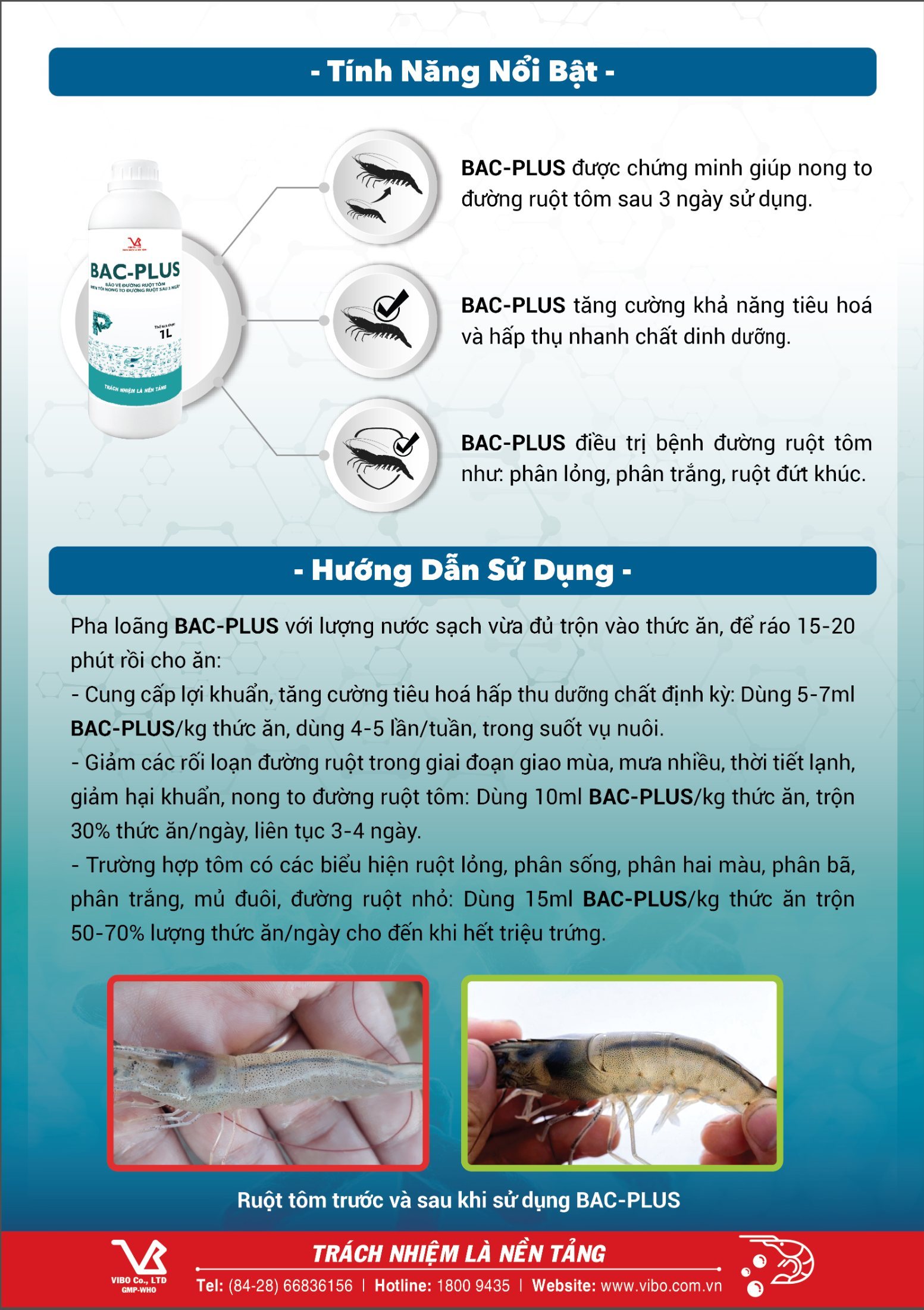 BAC-PLUS (Nong to đường ruột tôm sau 3 ngày) - ảnh 3