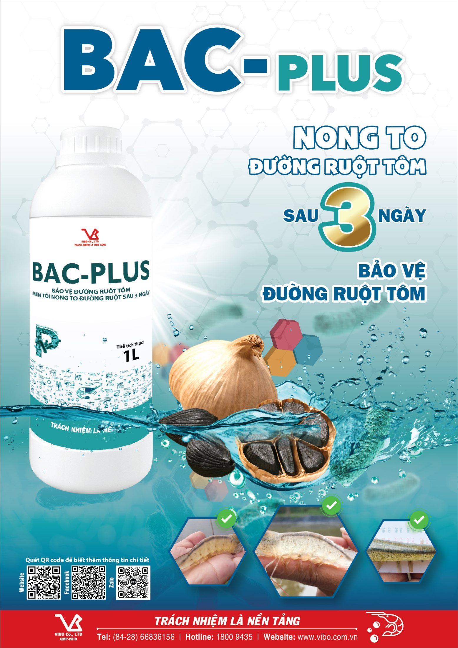 BAC-PLUS (Nong to đường ruột tôm sau 3 ngày) - ảnh 2