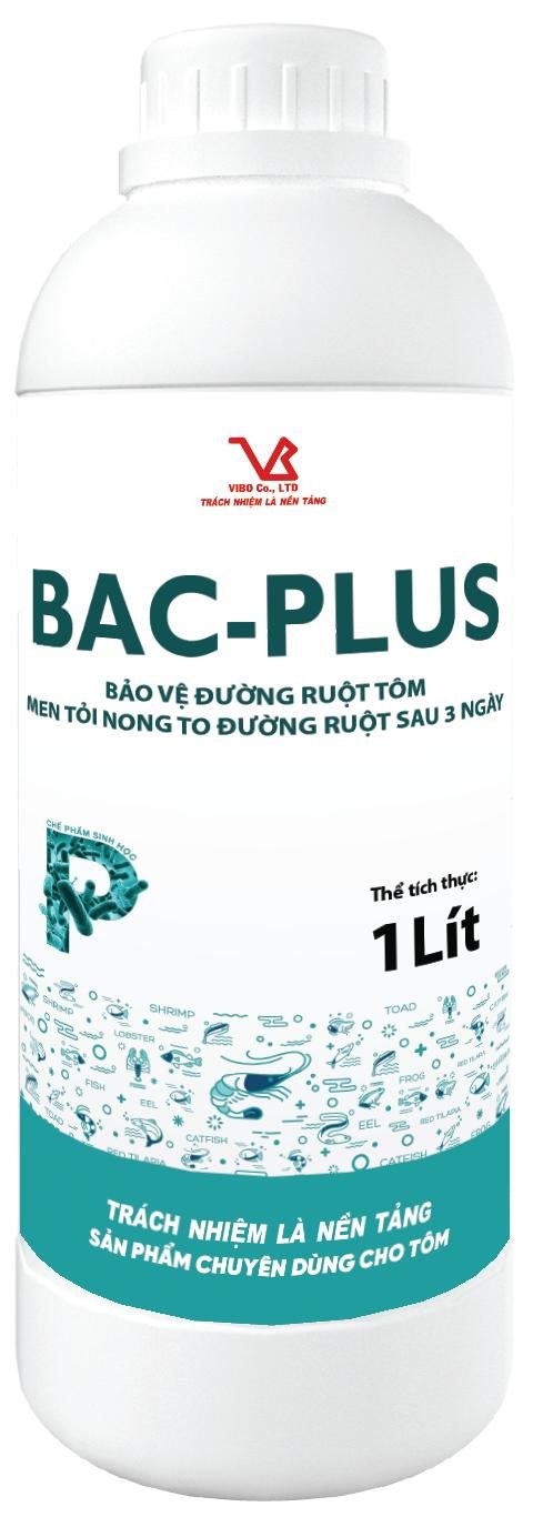 BAC-PLUS (Nong to đường ruột tôm sau 3 ngày)