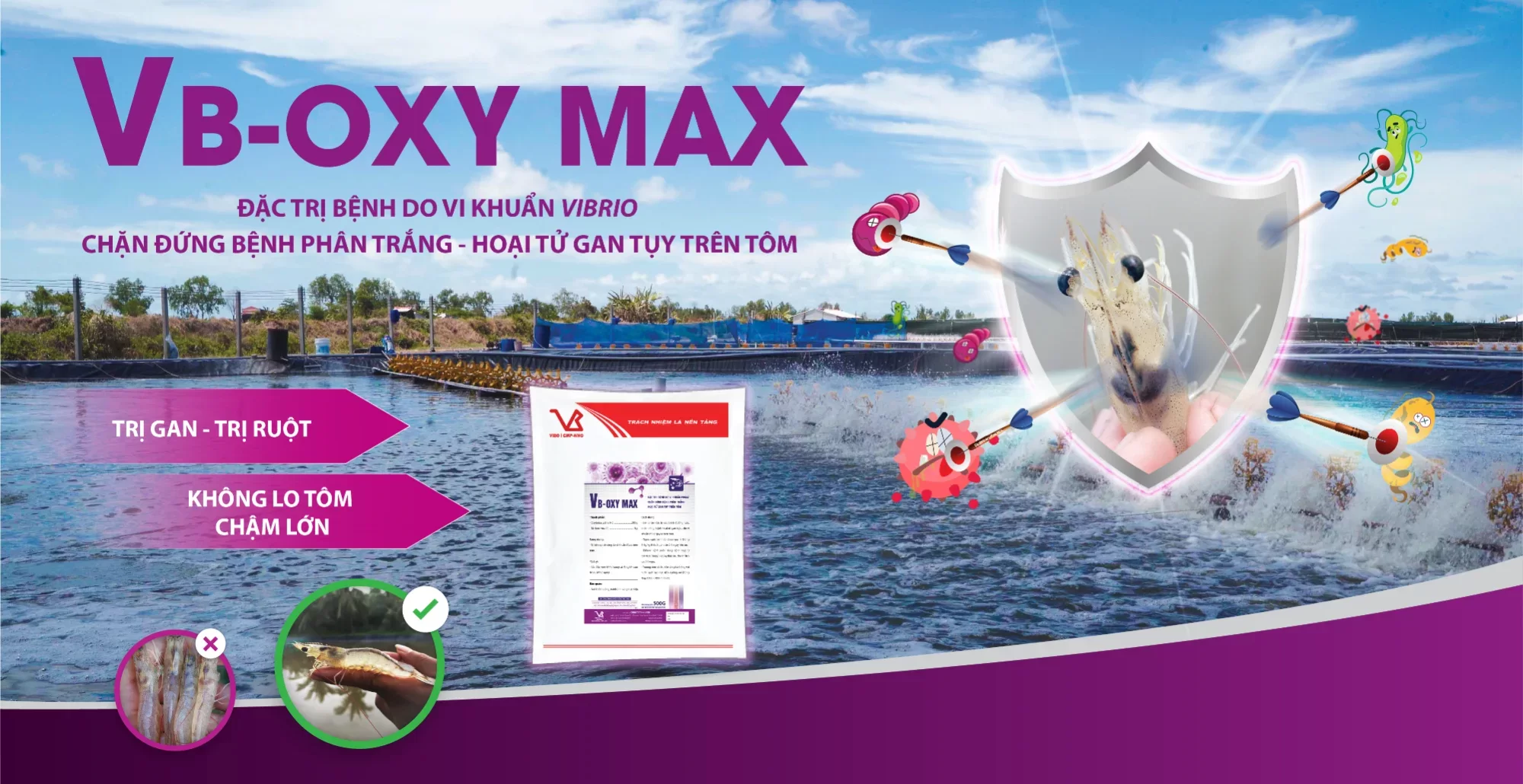 VB-OXY MAX (Đặc trị bệnh do vi khuẩn Vibrio gây ra)