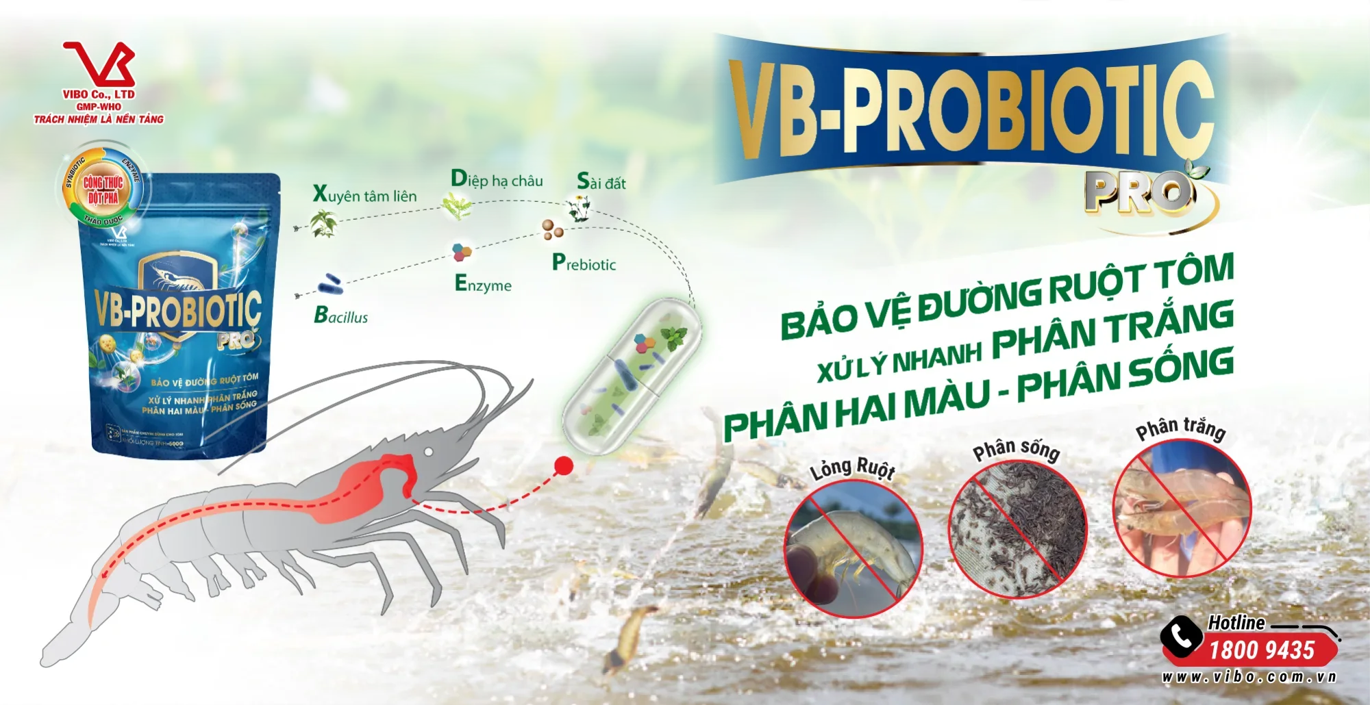 VB-PROBIOTIC pro (MEN GIẢI QUYẾT NHANH PHÂN TRẮNG, PHÂN LỎNG, PHÂN SỐNG)