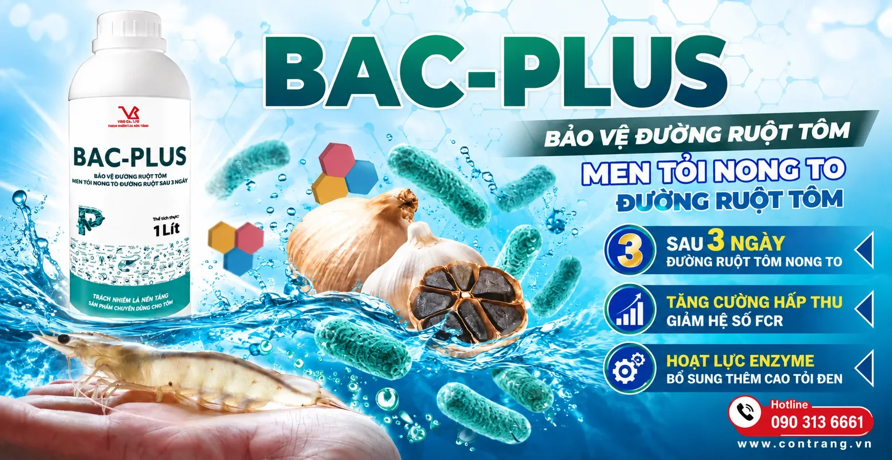 BAC-PLUS (Nong to đường ruột tôm sau 3 ngày)
